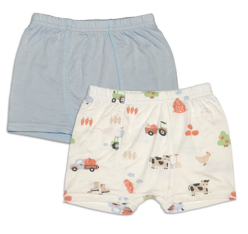 Silkberry Boys Underwear Shorts 2pk -Pumpkin Farm Print/Magic Cloud-Mountain Baby