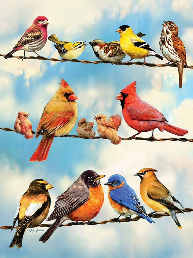 Cobble Hill Puzzle - 500pc - Birds On A Wire-Mountain Baby
