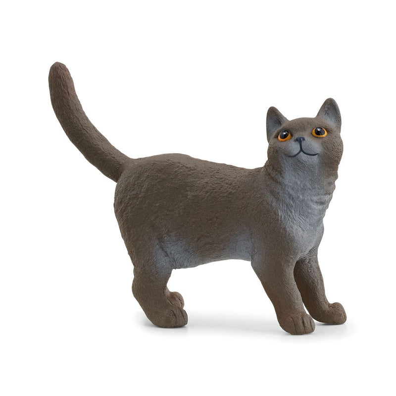 Schleich Animal Figurine - British Shorthair Cat-Mountain Baby