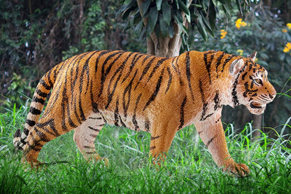 Schleich Animal Figurine - Tiger-Mountain Baby