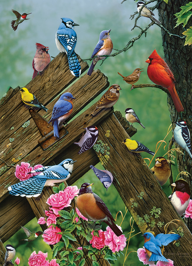 Cobble Hill Puzzle - 1000pc - Birds Of The Forest-Mountain Baby