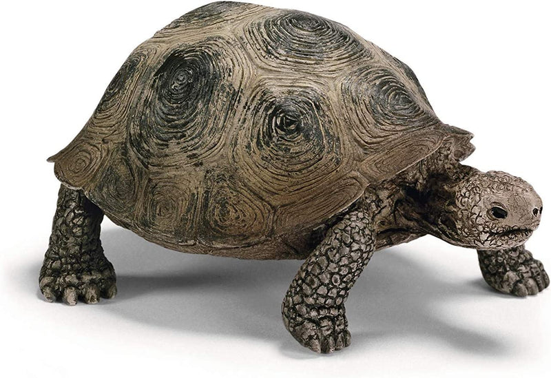 Schleich Animal Figurine - Tortoise-Mountain Baby