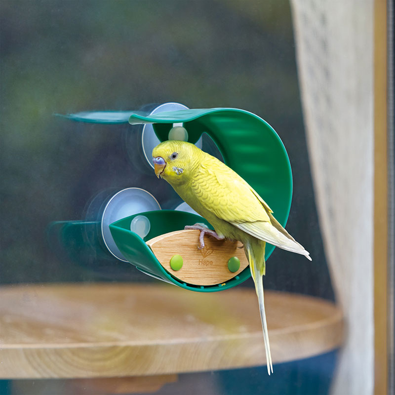 Hape Window Bird Feeder-Mountain Baby
