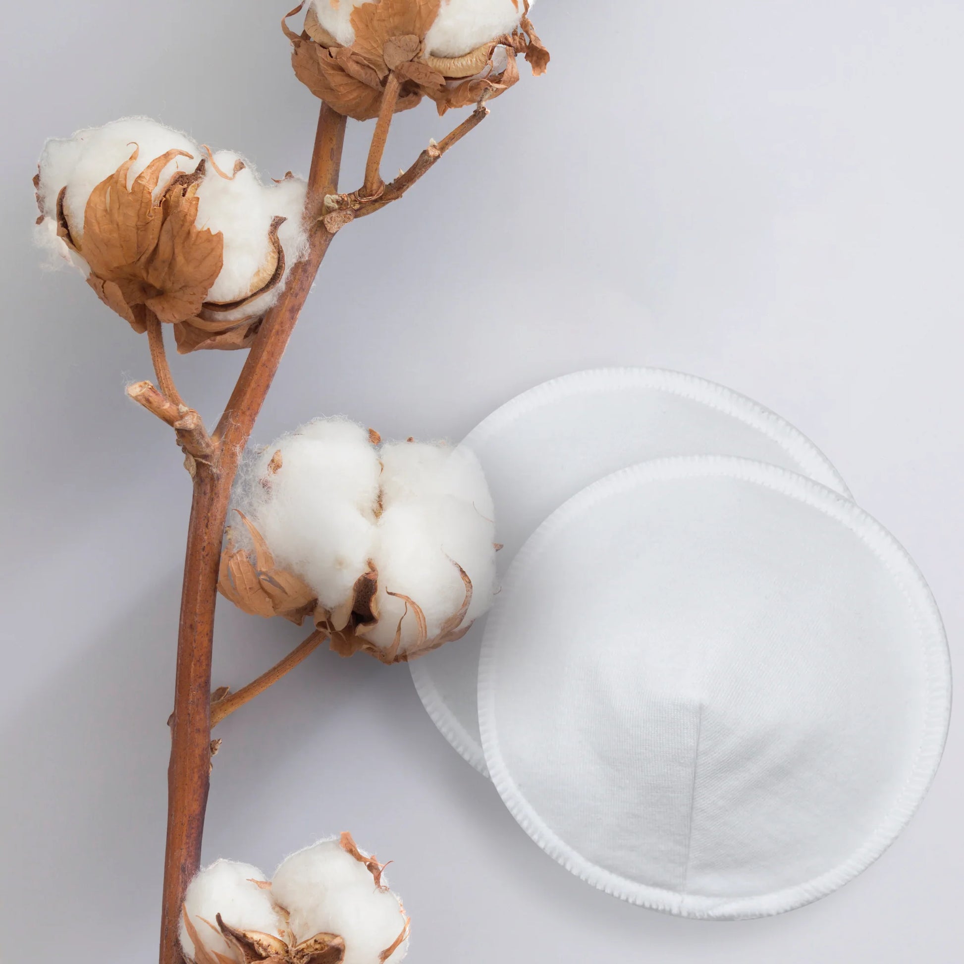 Kushies Organic Jersey Cotton Nursing Pads 6pk-Mountain Baby