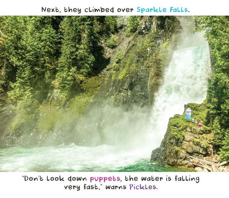 Pickles Basil and the Enchanted Crystal - Book-Mountain Baby