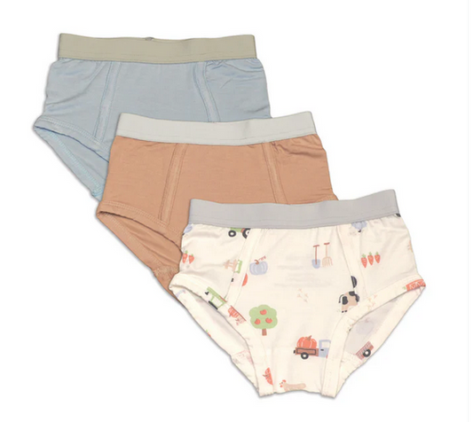 Silkberry Boys Underwear Briefs 3pk - Magic Cloud/Toast/Pumpkin Farm Print-Mountain Baby