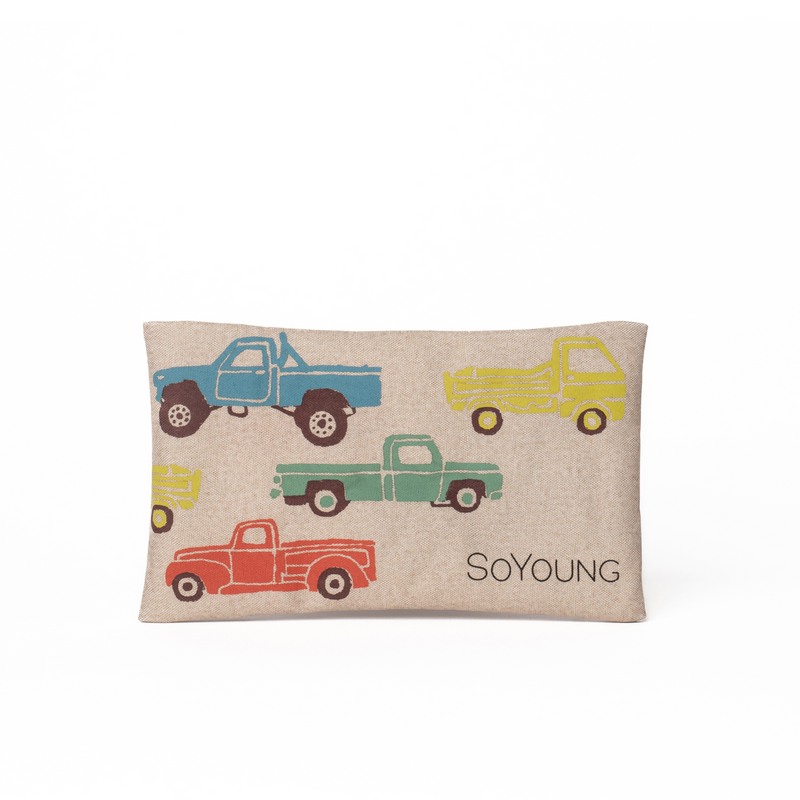 So Young Lunchbox Ice Pack - Vintage Trucks-Mountain Baby