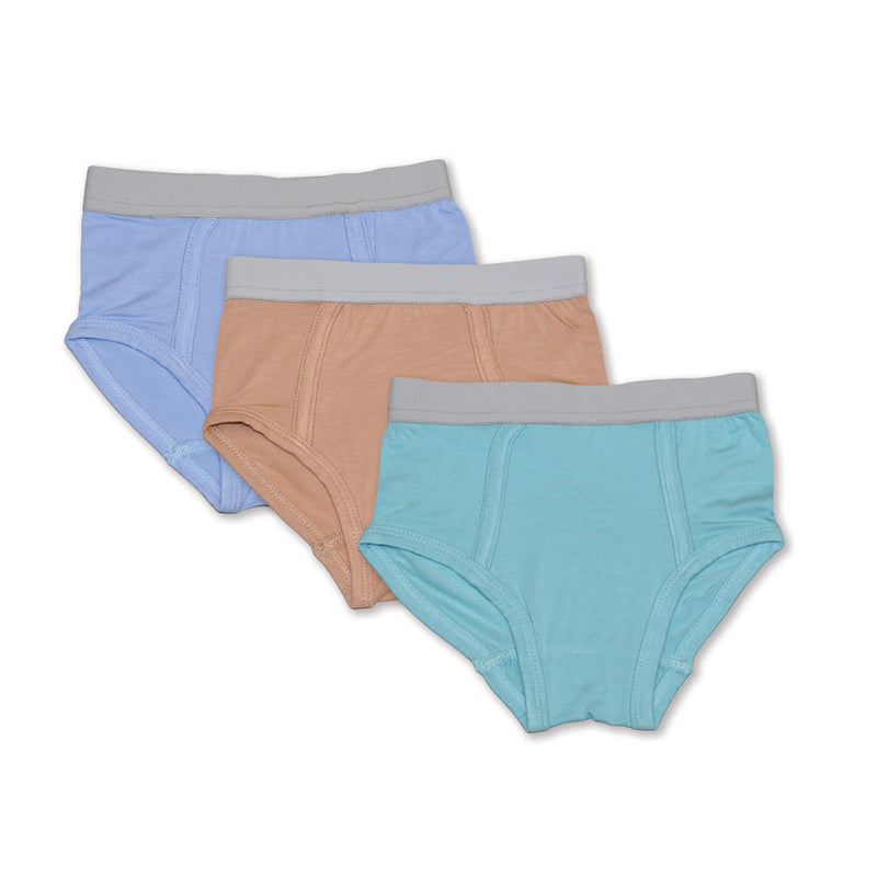 Silkberry Boys Brief 3pk - Aqua-Mountain Baby