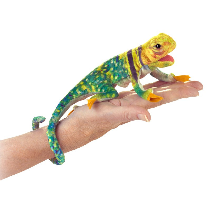 Folkmanis Puppets - Mini Collared Lizard-Mountain Baby