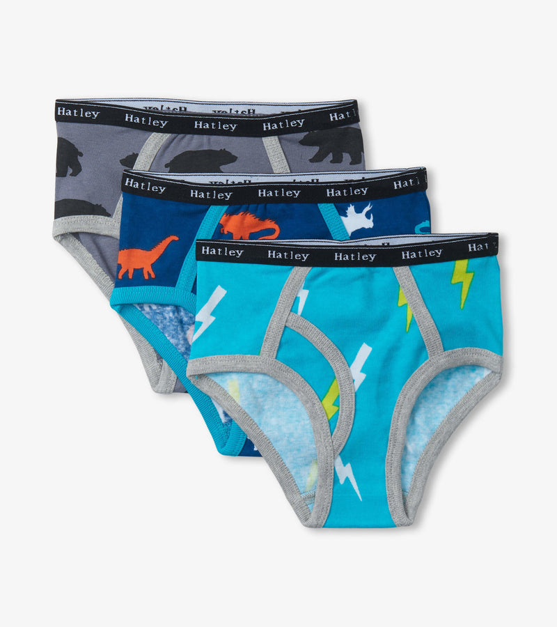 Hatley Boys Classic Brief Underwear 3 Pack - Silhouette Nature-Mountain Baby