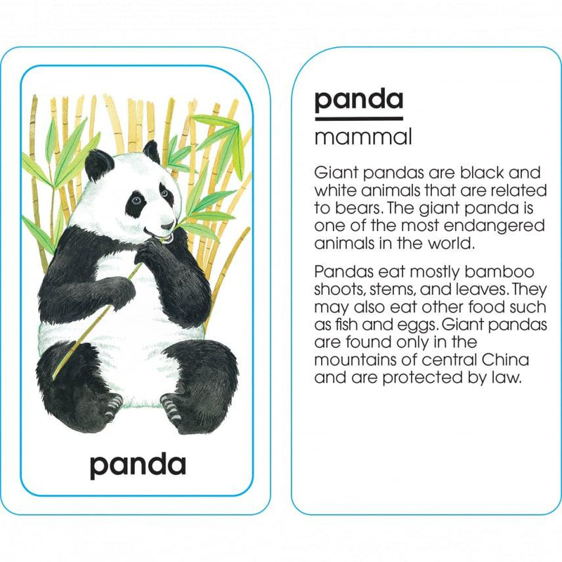 School Zone Educational Flash Cards - Animals-Mountain Baby