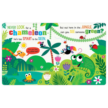 Board Book - Never Look For A Chameleon!-Mountain Baby