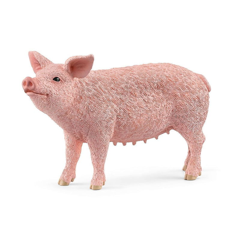 Schleich Animal Figurine - Pig - Smiling-Mountain Baby