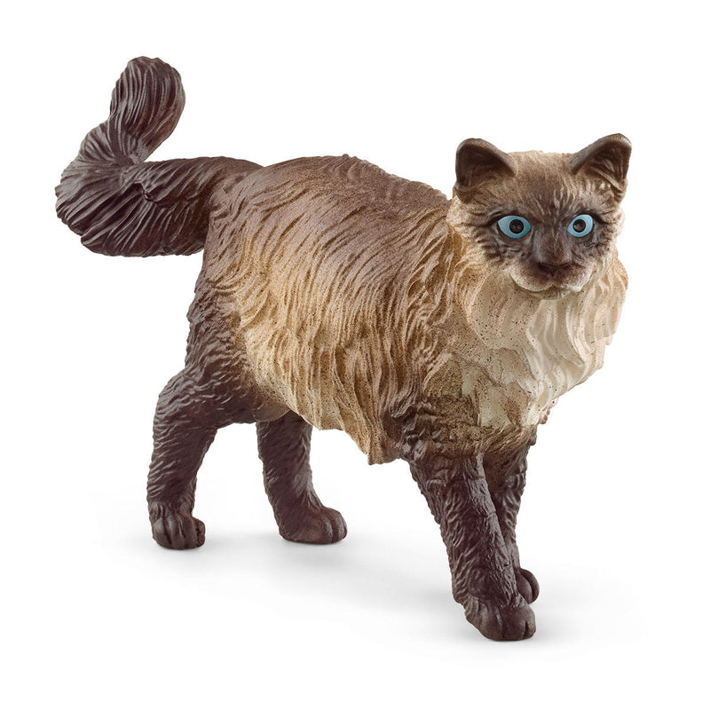 Schleich Animal Figurine - Ragdoll Cat-Mountain Baby