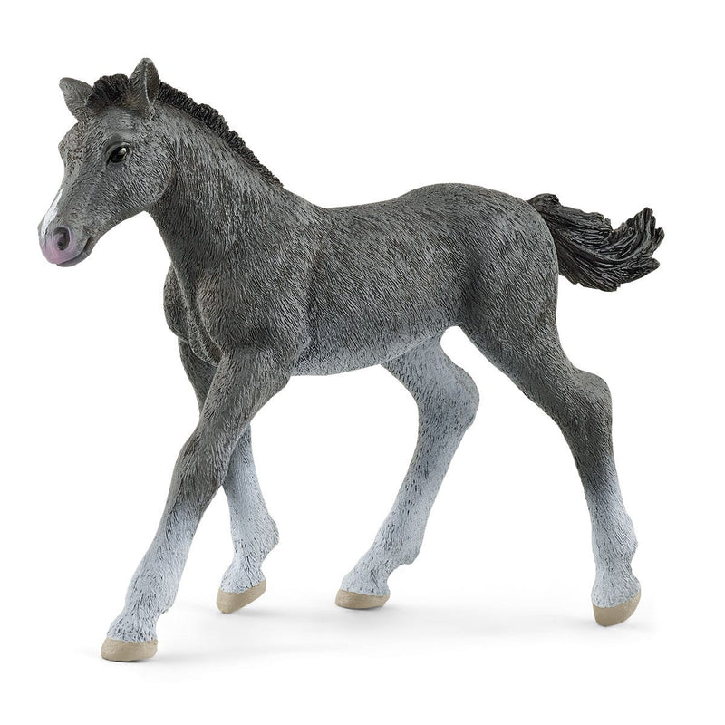 Schleich Animal Figurine - Horses - Trakehner Foal-Mountain Baby