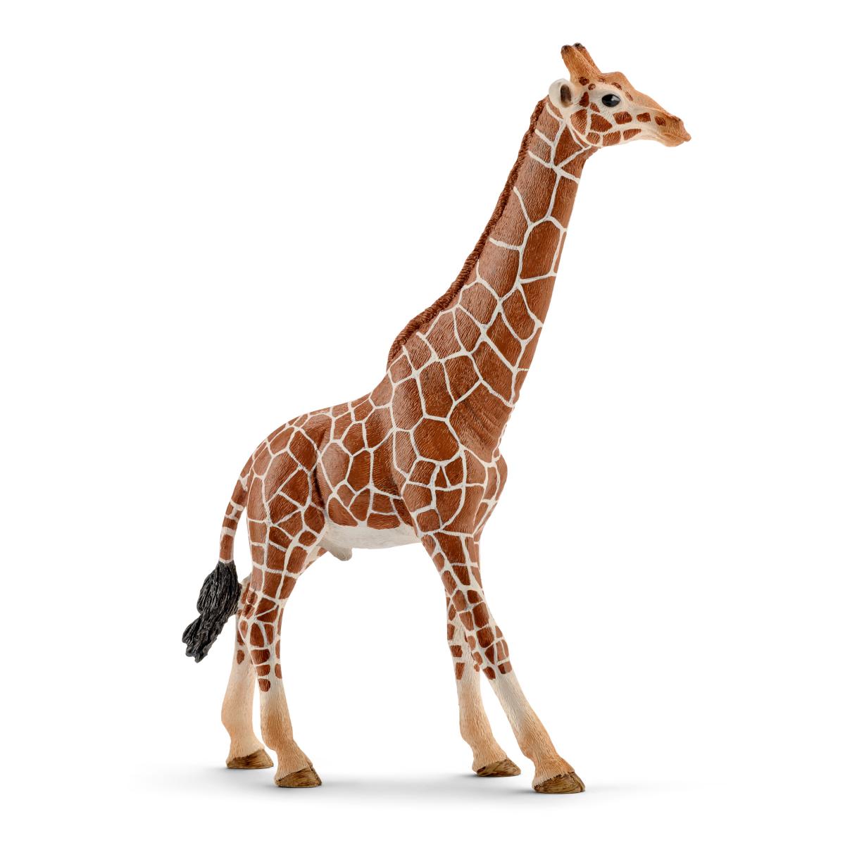 Schleich Animal Figurine - Giraffe Male-Mountain Baby