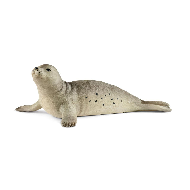 Schleich Animal Figurine - Seal-Mountain Baby