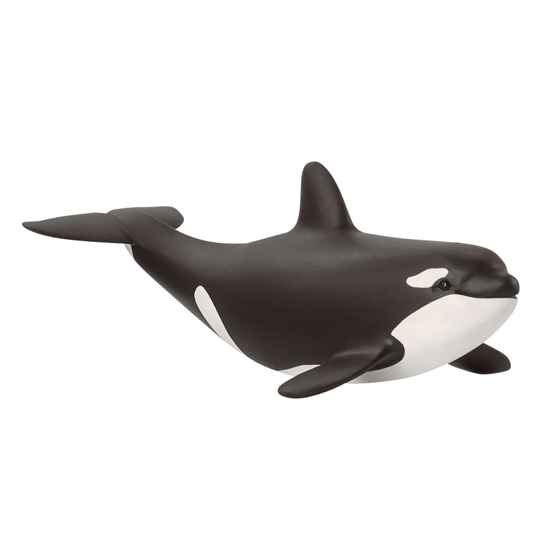 Schleich Animal Figurine - Baby Orca-Mountain Baby