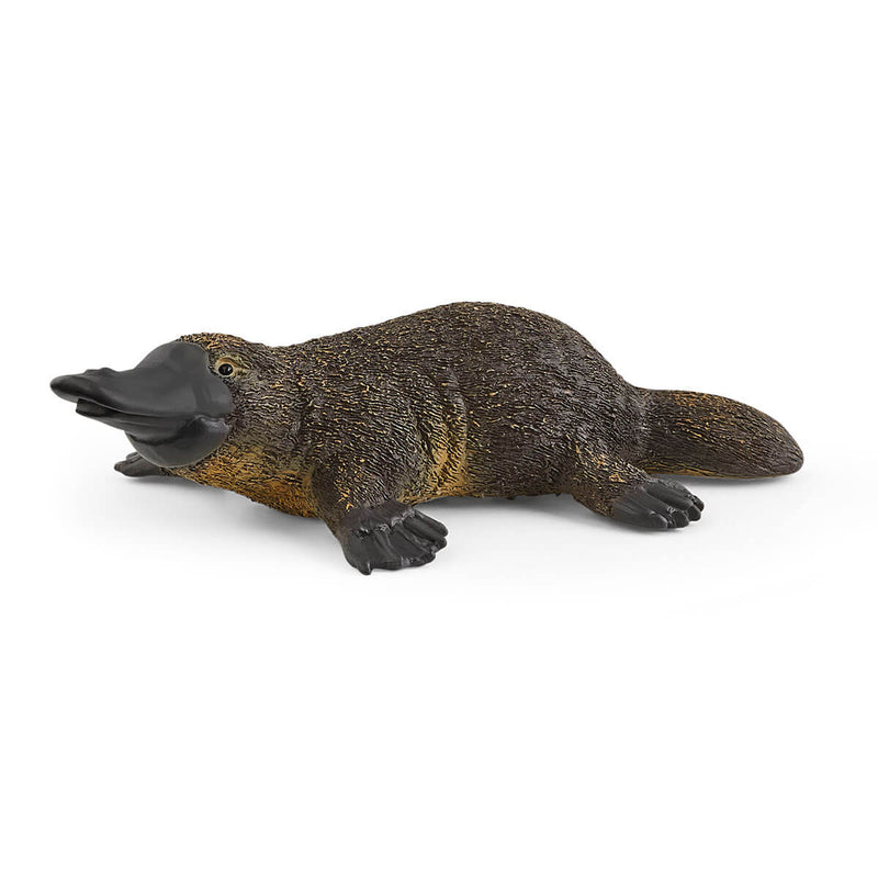 Schleich Animal Figurine - Platypus-Mountain Baby