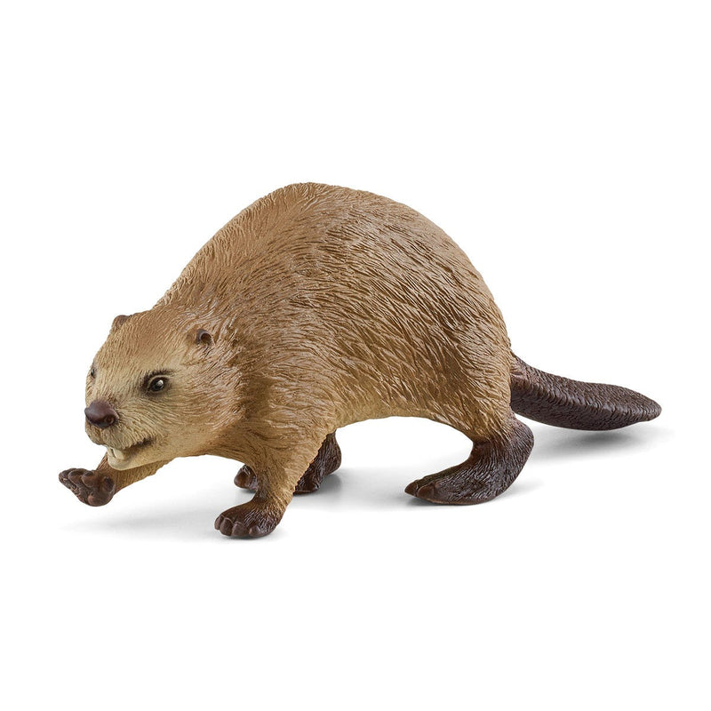 Schleich Animal Figurine - Beaver-Mountain Baby