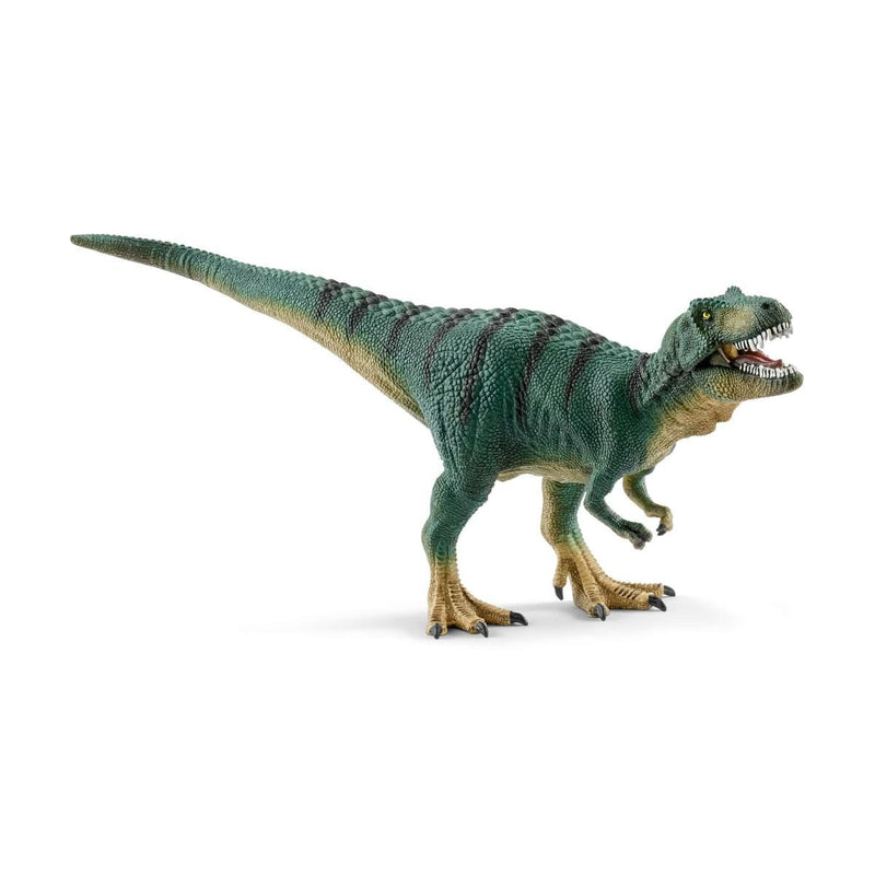 Schleich Dinosaur Figurine - Tyrannosaurus Rex Juvenile-Mountain Baby