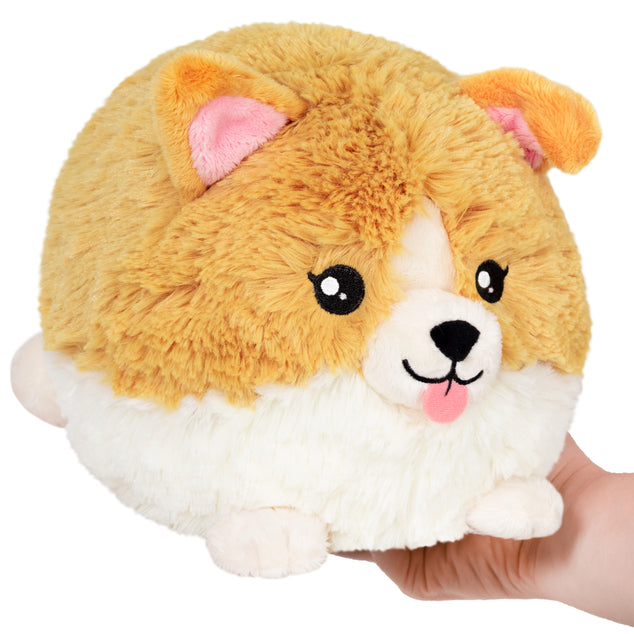 Squishables - Mini Baby Corgi-Mountain Baby