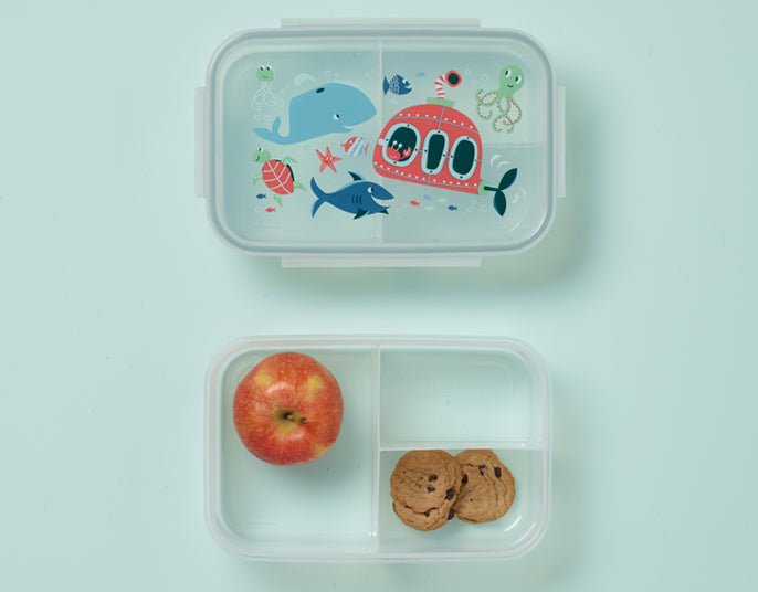 ORE Good Lunch Bento Box Divided Container - Ocean-Mountain Baby