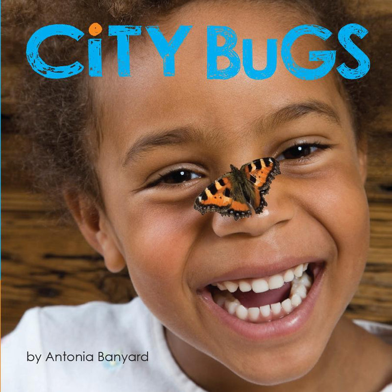 Board Book - City Bugs-Mountain Baby