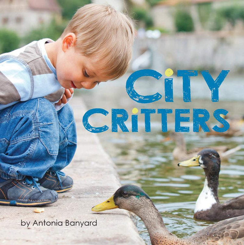 Board Book - City Critters-Mountain Baby