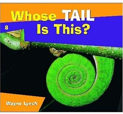 Book - Whose Tail Is This?-Mountain Baby