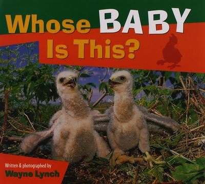 Book - Whose Baby Is This?-Mountain Baby