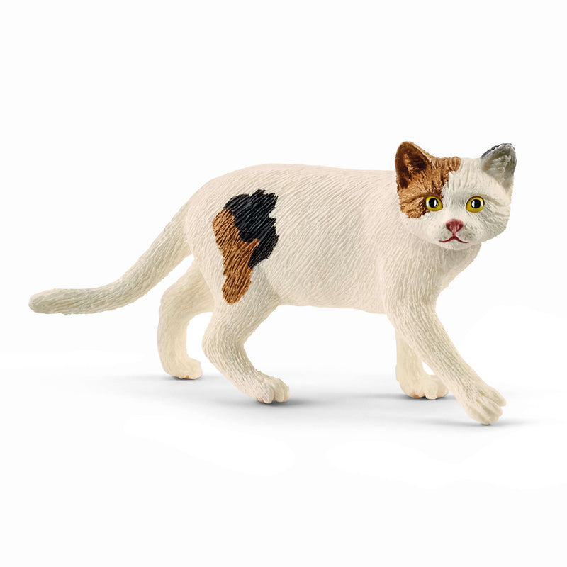 Schleich Animal Figurine - Cat - American Short Hair-Mountain Baby