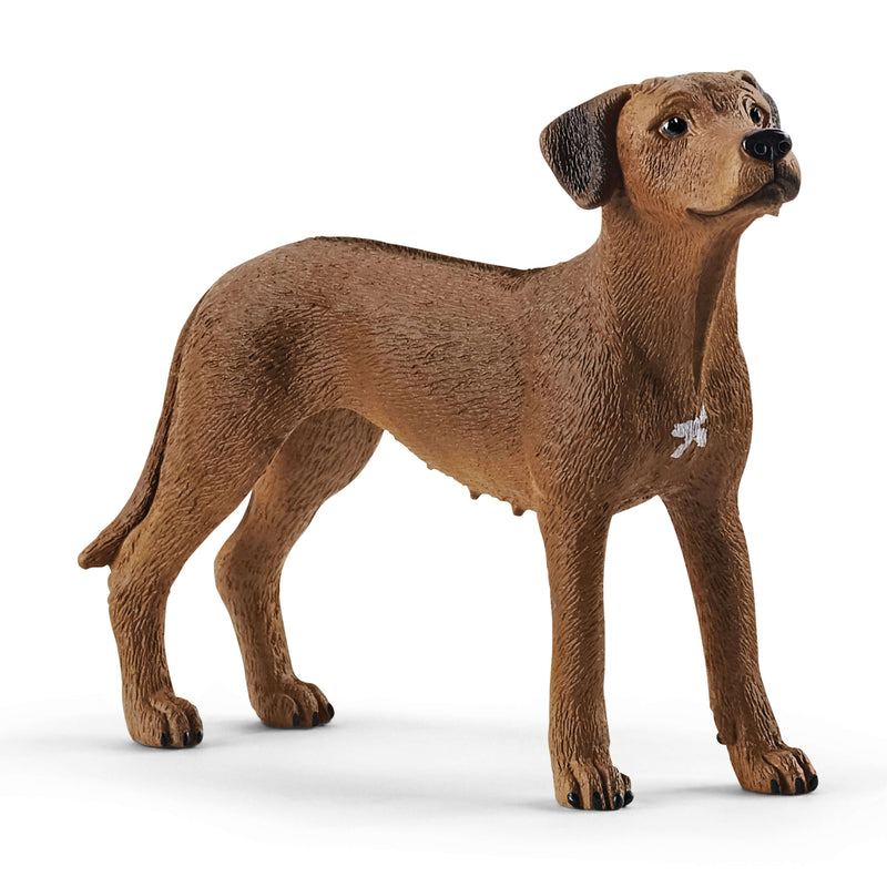 Schleich Animal Figurine - Dog - Rhodesian-Mountain Baby