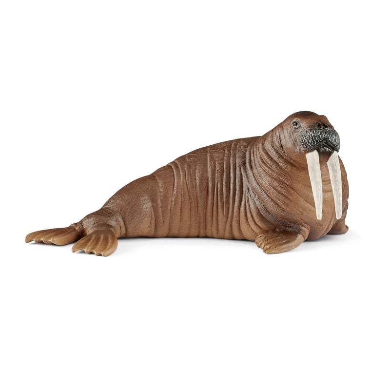 Schleich Animal Figurine - Walrus-Mountain Baby