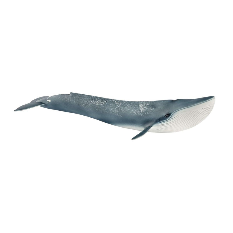 Schleich Animal Figurine - Blue Whale-Mountain Baby