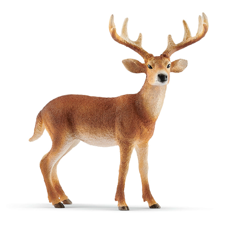 Schleich Animal Figurine - White-Tailed Buck-Mountain Baby