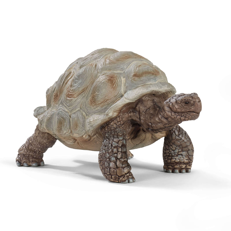Schleich Animal Figurine - Giant Tortoise-Mountain Baby