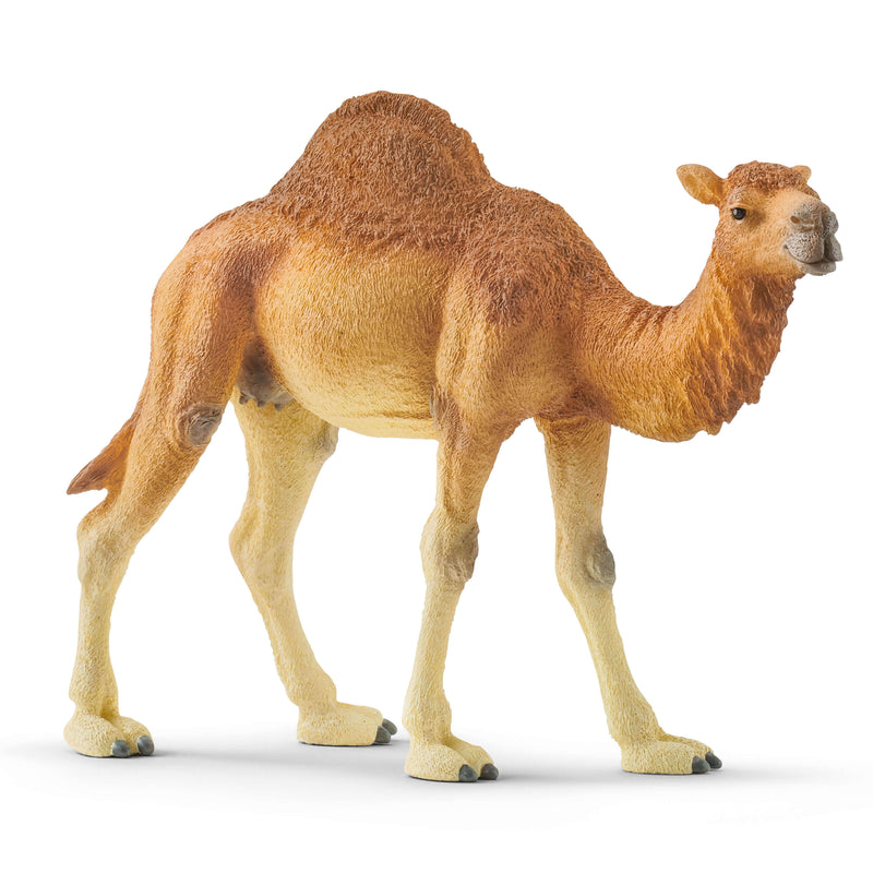 Schleich Animal Figurine - Dromedary Camel-Mountain Baby
