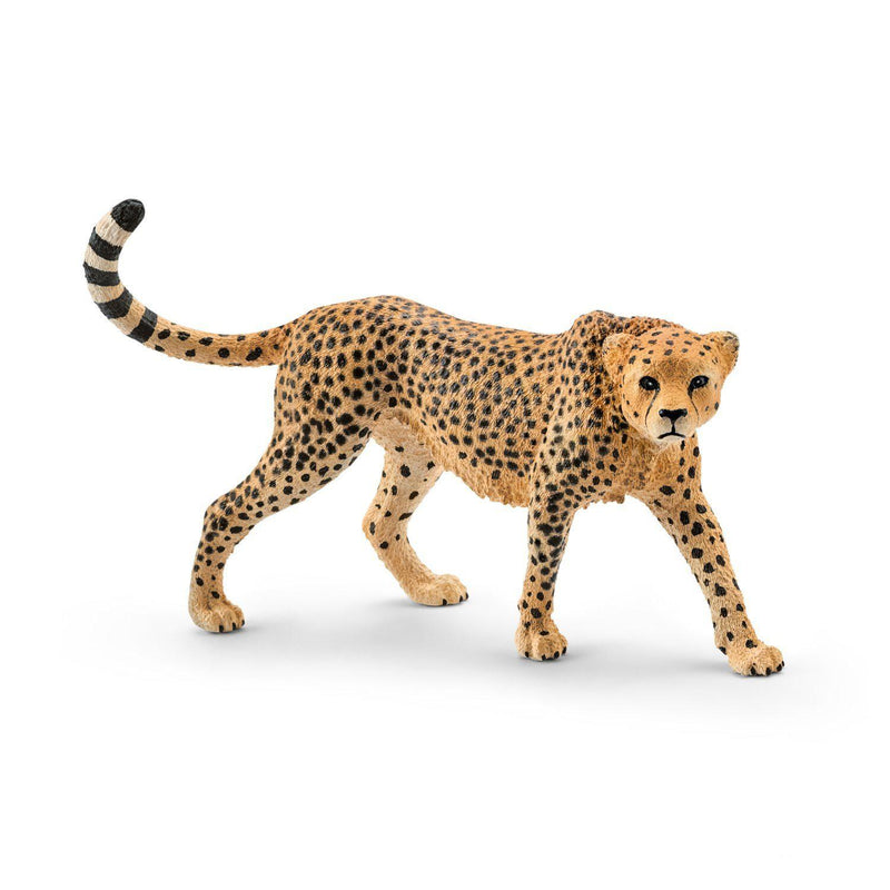 Schleich Animal Figurine - Cheetah Female-Mountain Baby